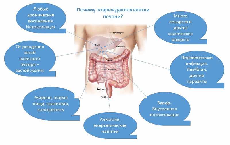 Нутрикоэнзим с альфа липоевой кислотой
