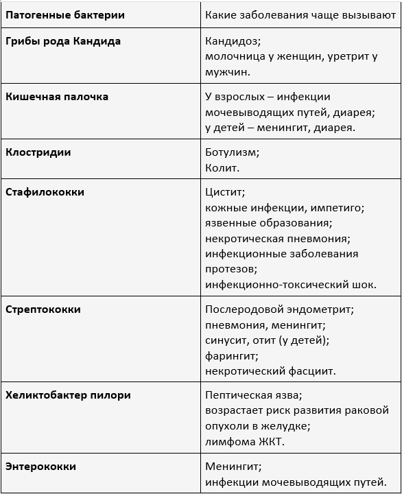 Восстановить микрофлору кишечника после антибиотиков