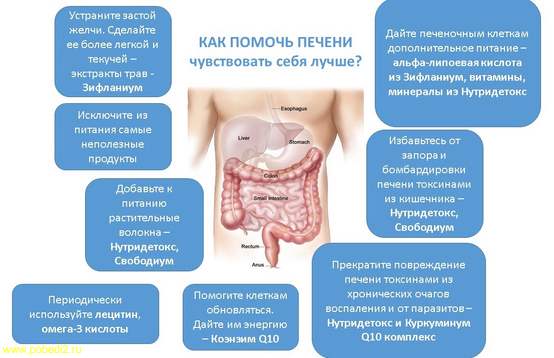 Как помочь печени натуральными средствами? 